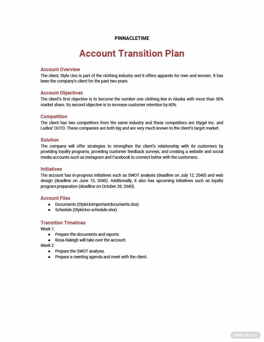 Free Account Transition Plan Template