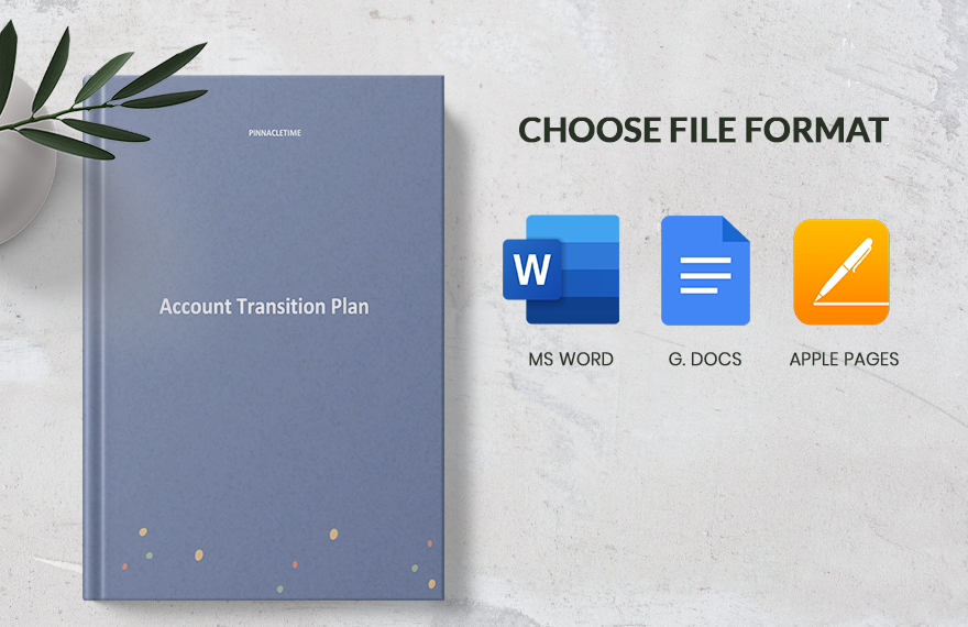 Account Transition Plan Template