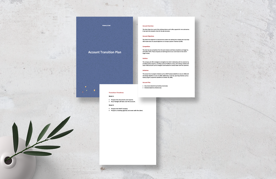 Free Account Transition Plan Template Download in Word, Google Docs
