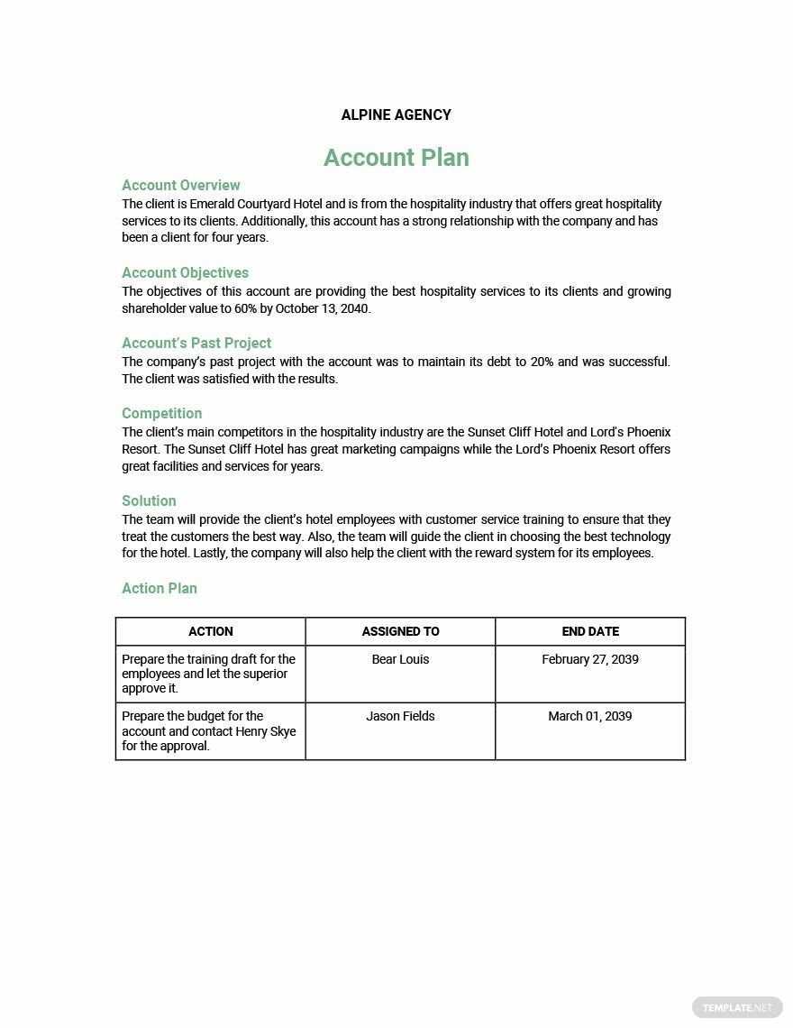 Account Plan Format Template