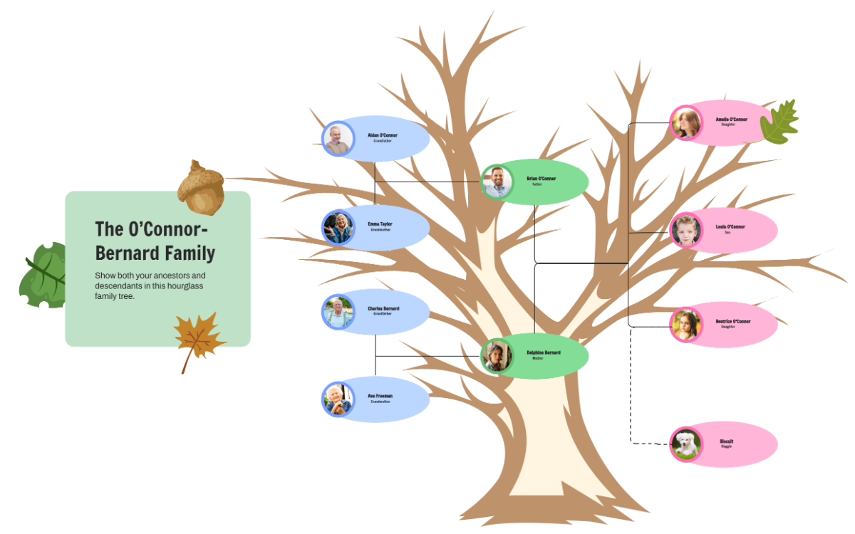 Free Hourglass Family Tree to Edit Online