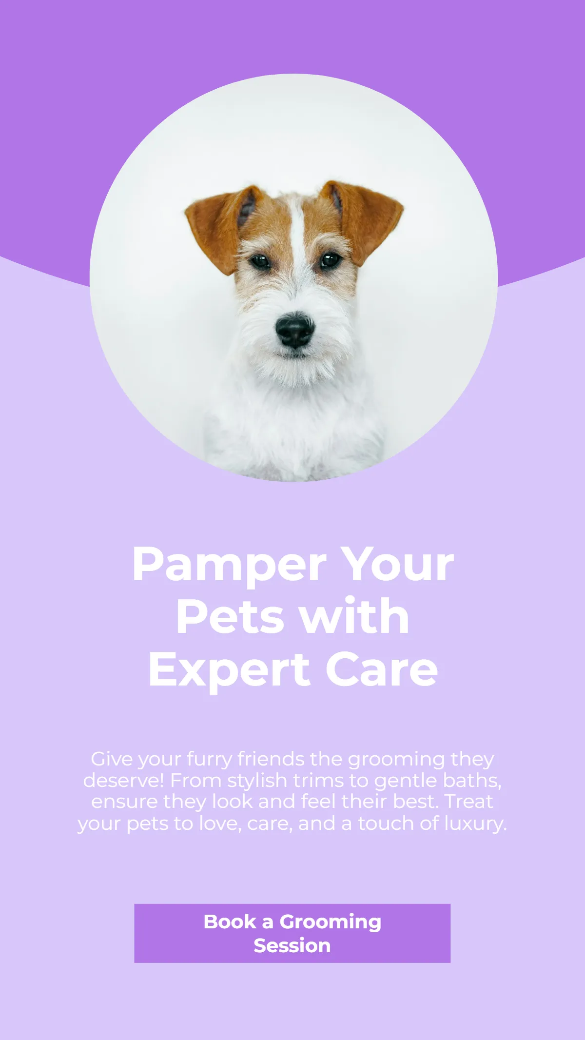 Pet Grooming Facebook Story Template