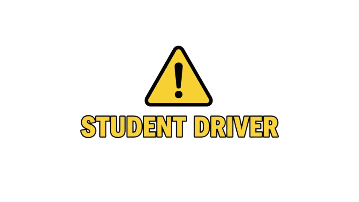Free Student Driver Bumper Sticker to Edit Online