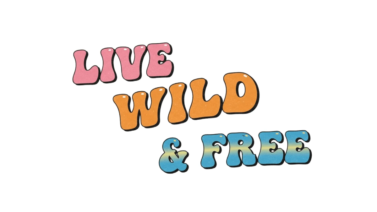 Free Live Wild & Free Bumper Sticker to Edit Online