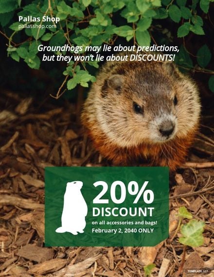 Funny Groundhog Day Flyer Template