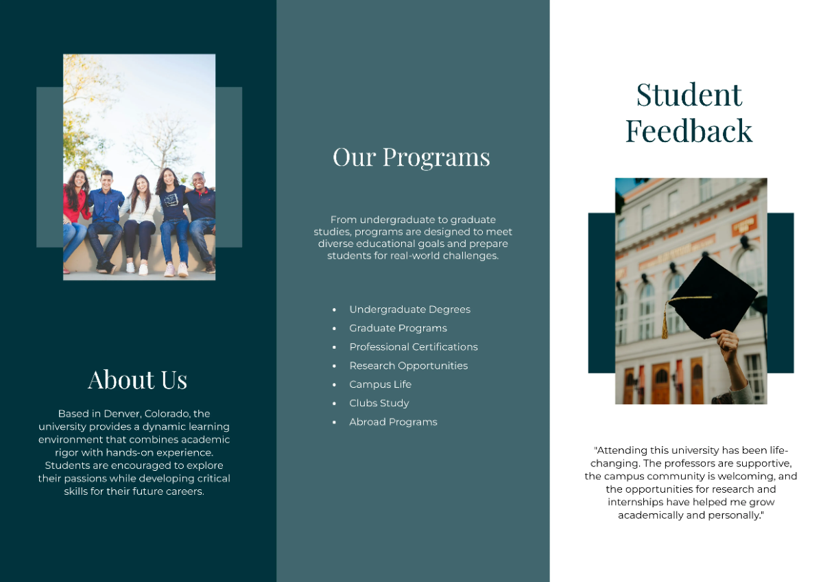 Free A3 University Brochure Template to Edit Online