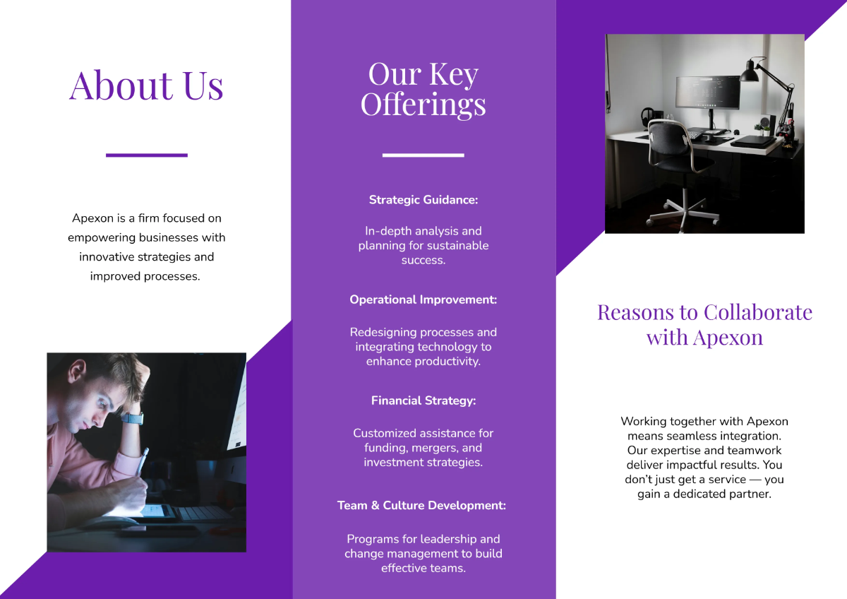 Free A4 Business Brochure Template to Edit Online