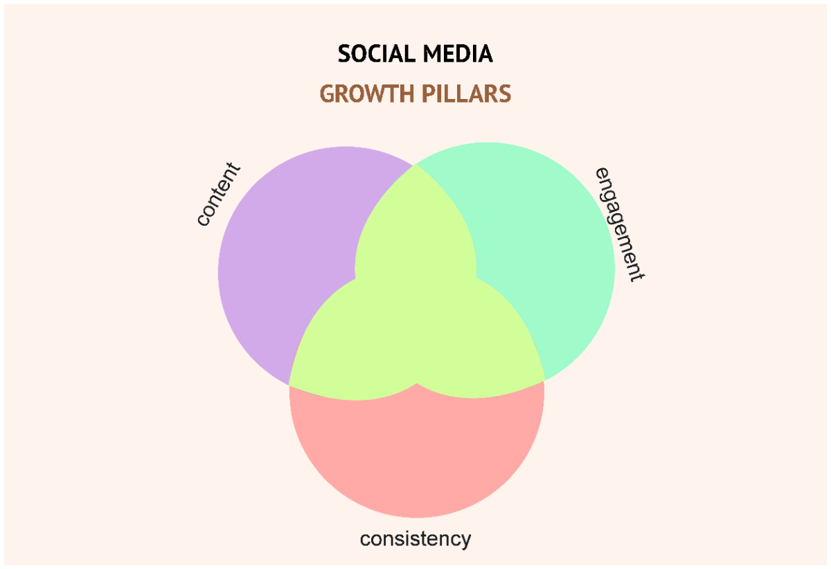 Free Social Media Growth Pillars Venn Diagram Infographic Graph to Edit Online