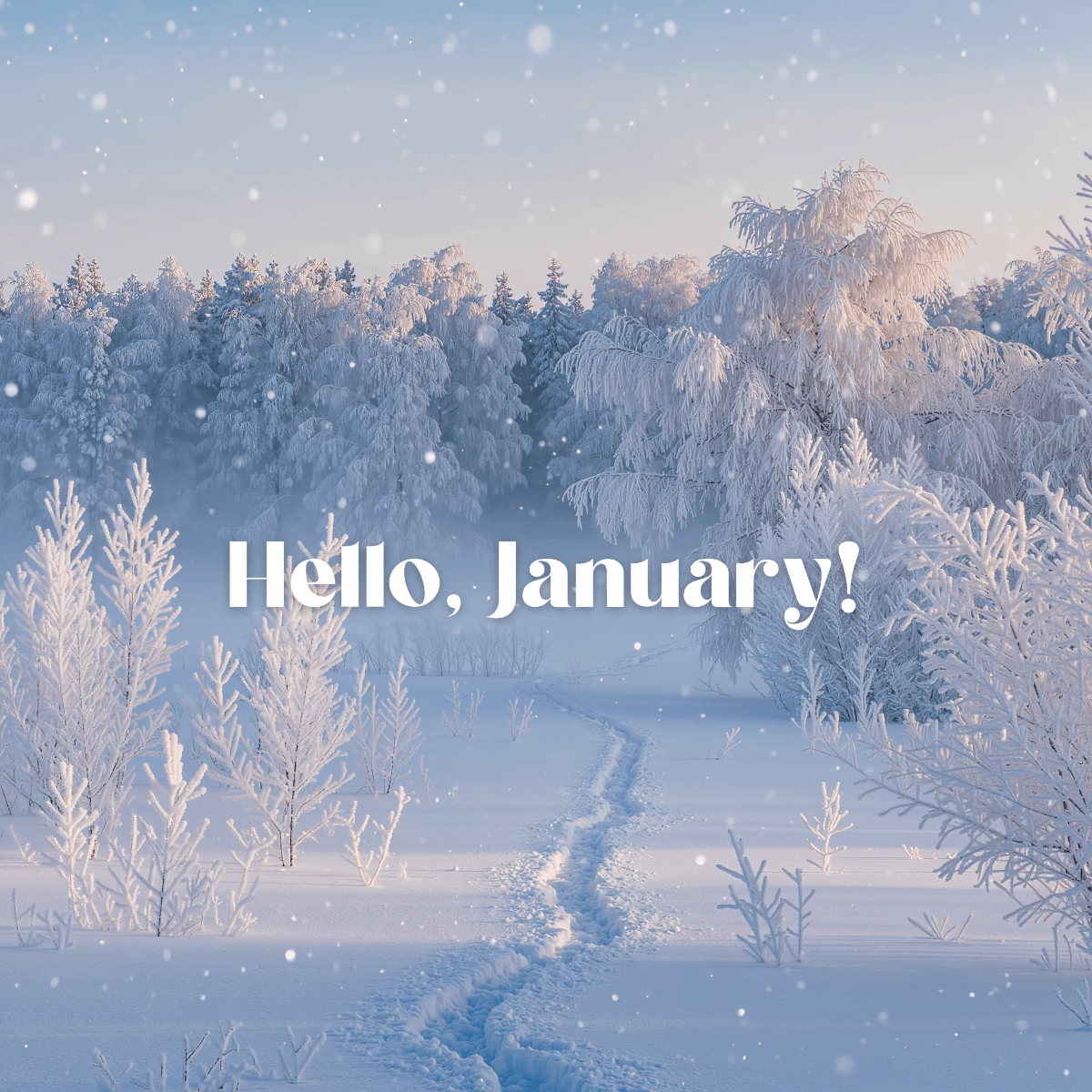 Free January Photo Template to Edit Online Free January Photo Template to Edit Online