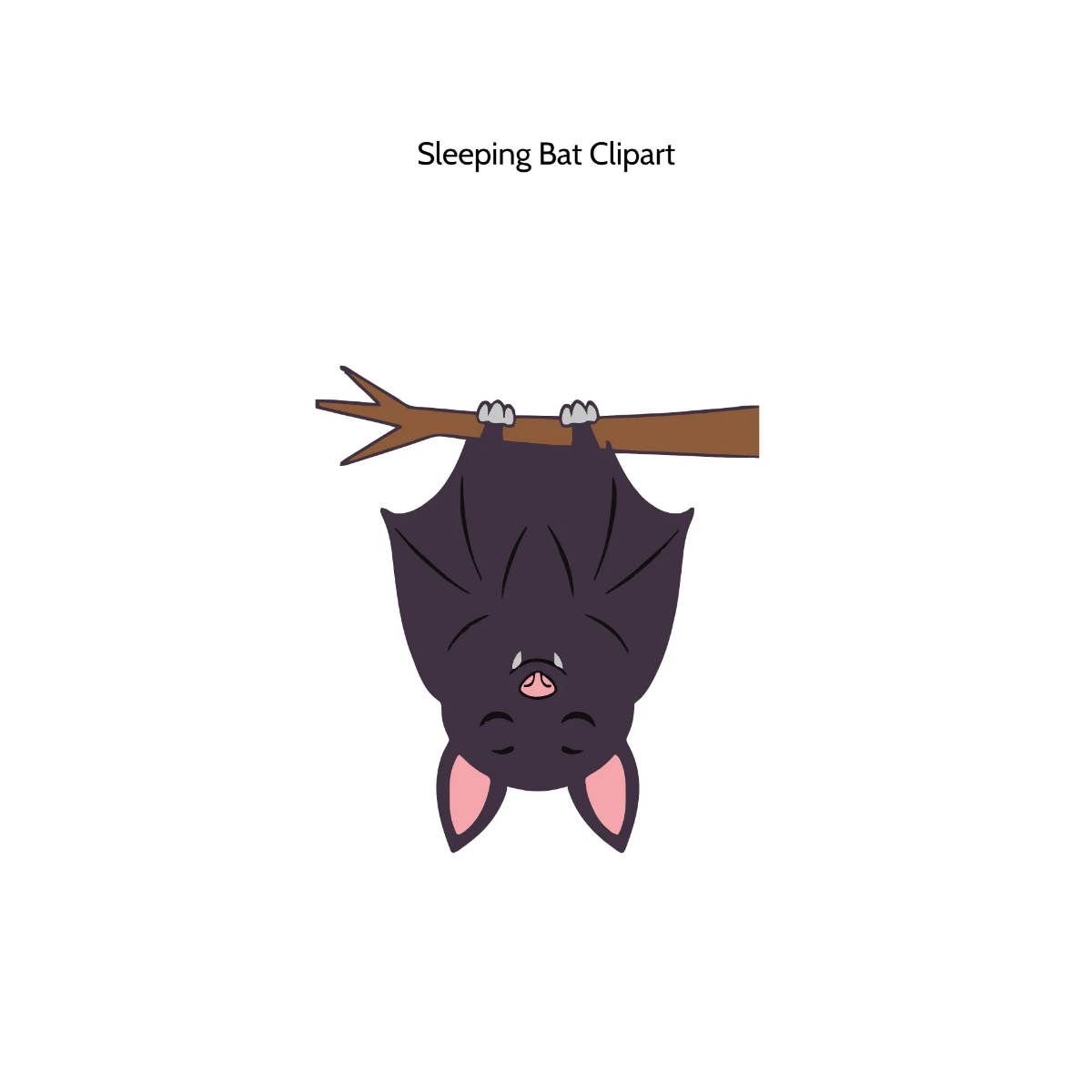 Free Sleeping Bat Vector Clipart (PNG, SVG) to Edit Online Free Sleeping Bat Vector Clipart (PNG, SVG) to Edit Online