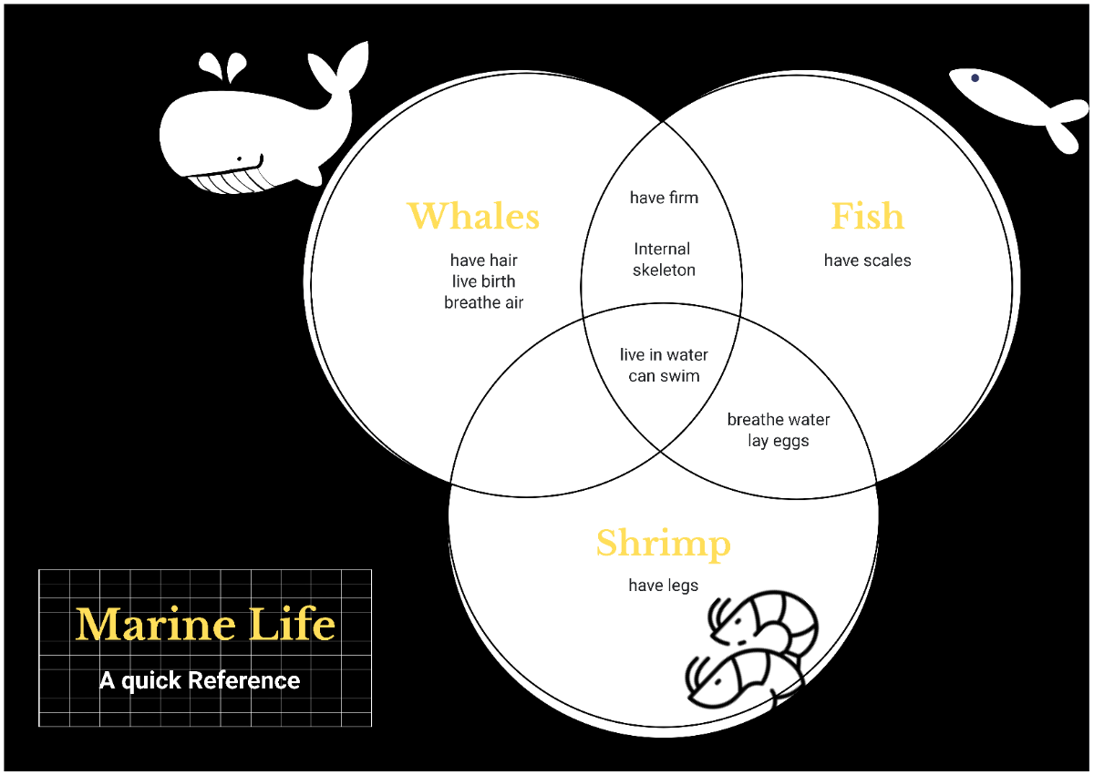 Chalkboard Style Venn Diagram to Download