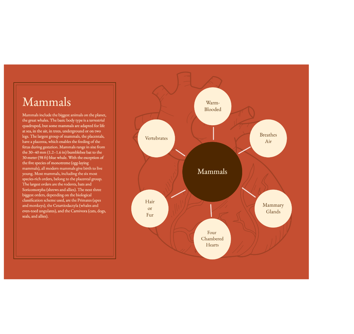 Free Orange and Brown Heart Bubble Map to Edit Online Free Orange and Brown Heart Bubble Map to Edit Online