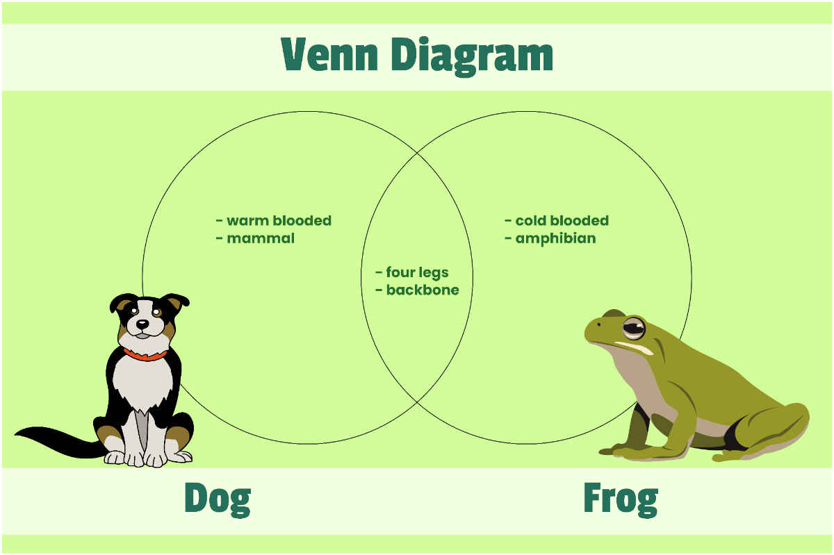 Free Animals Venn Diagram Graphic Organizer to Edit Online Free Animals Venn Diagram Graphic Organizer to Edit Online