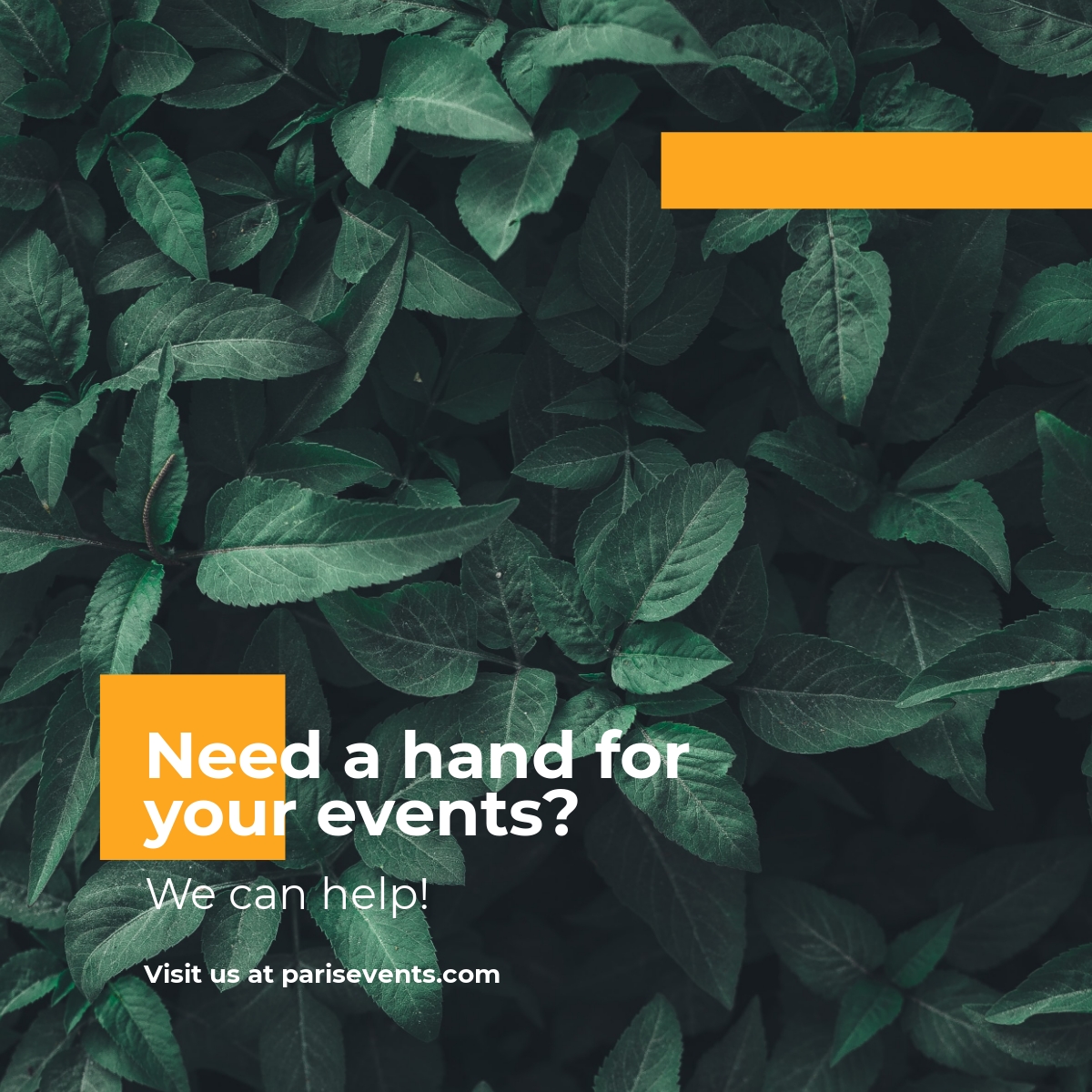 Free Event Planner Linkedin Post Template