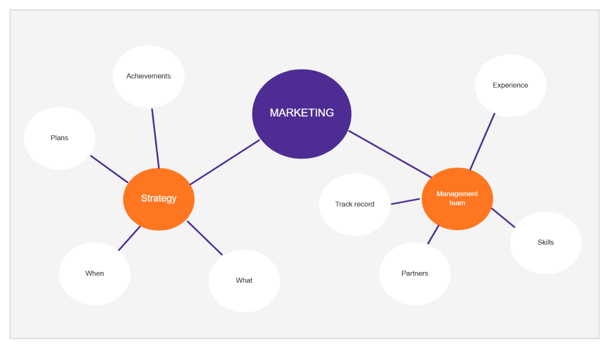 Business Plan Spider Diagram to Download