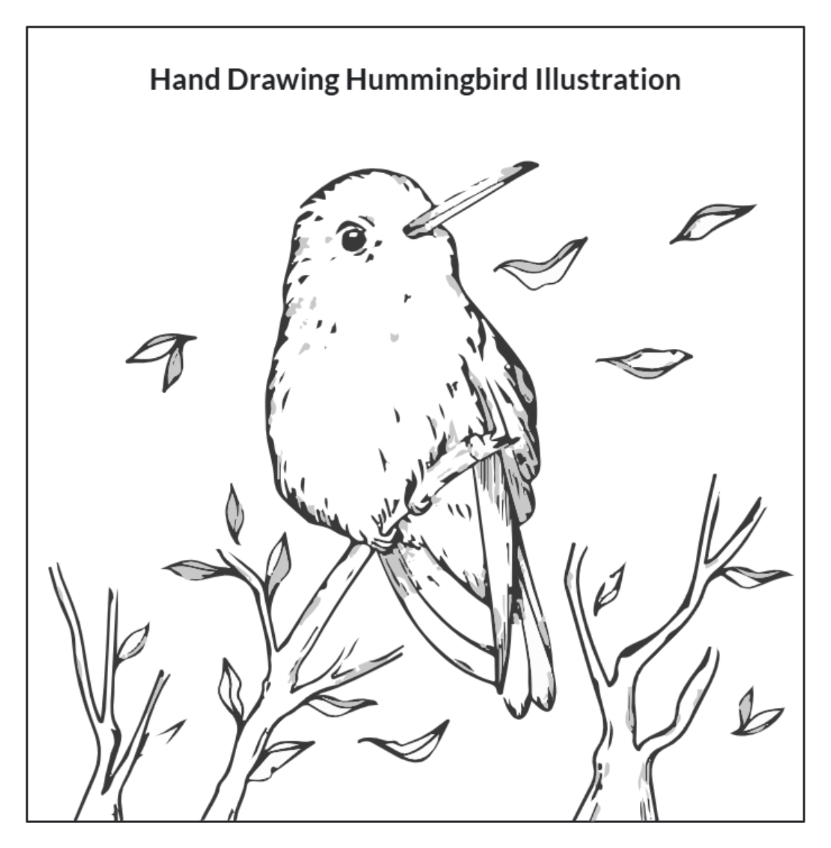 Free Hand Drawing Hummingbird Illustration to Edit Online Free Hand Drawing Hummingbird Illustration to Edit Online
