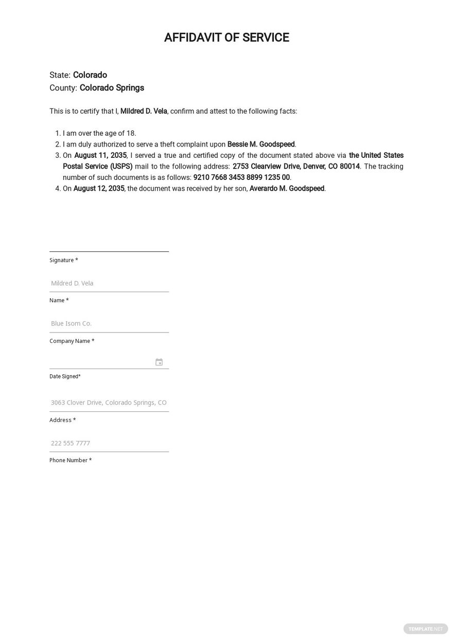 Free Blank Affidavit Service Template Google Docs Word Template net