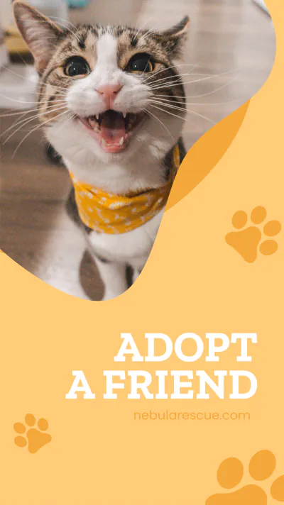 Free Animal Whatsapp Story Template to Edit Online