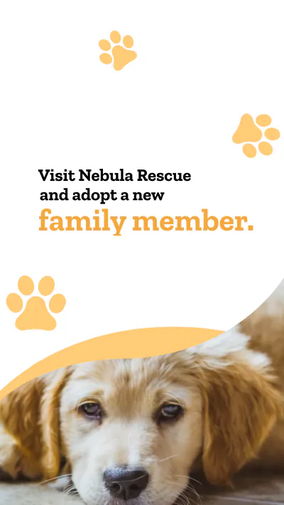 Free Animal Whatsapp Story Template to Edit Online