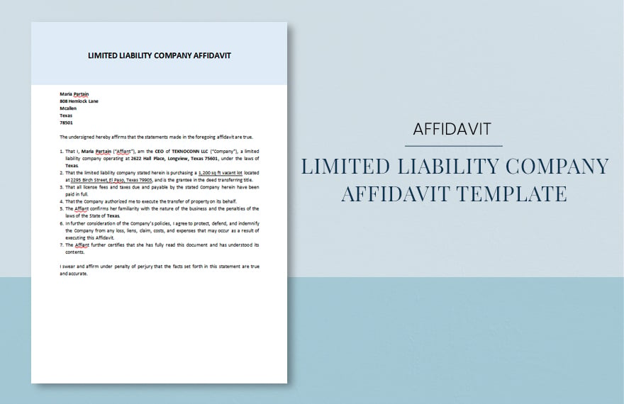 Limited Liability Company Affidavit Template in Word, Google Docs