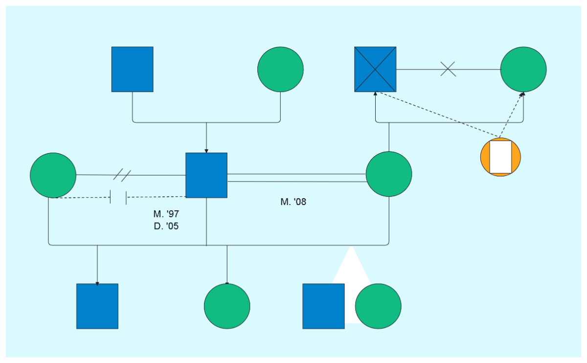 Genogram Template Relationship Types
