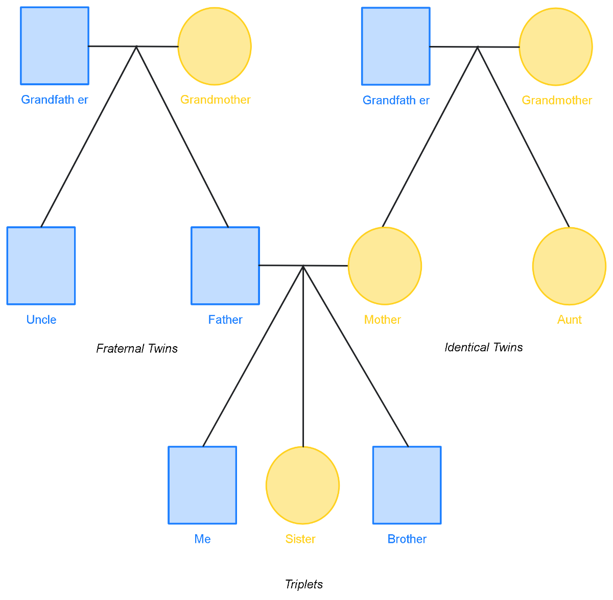 Free Twins Genogram Template To Edit Online