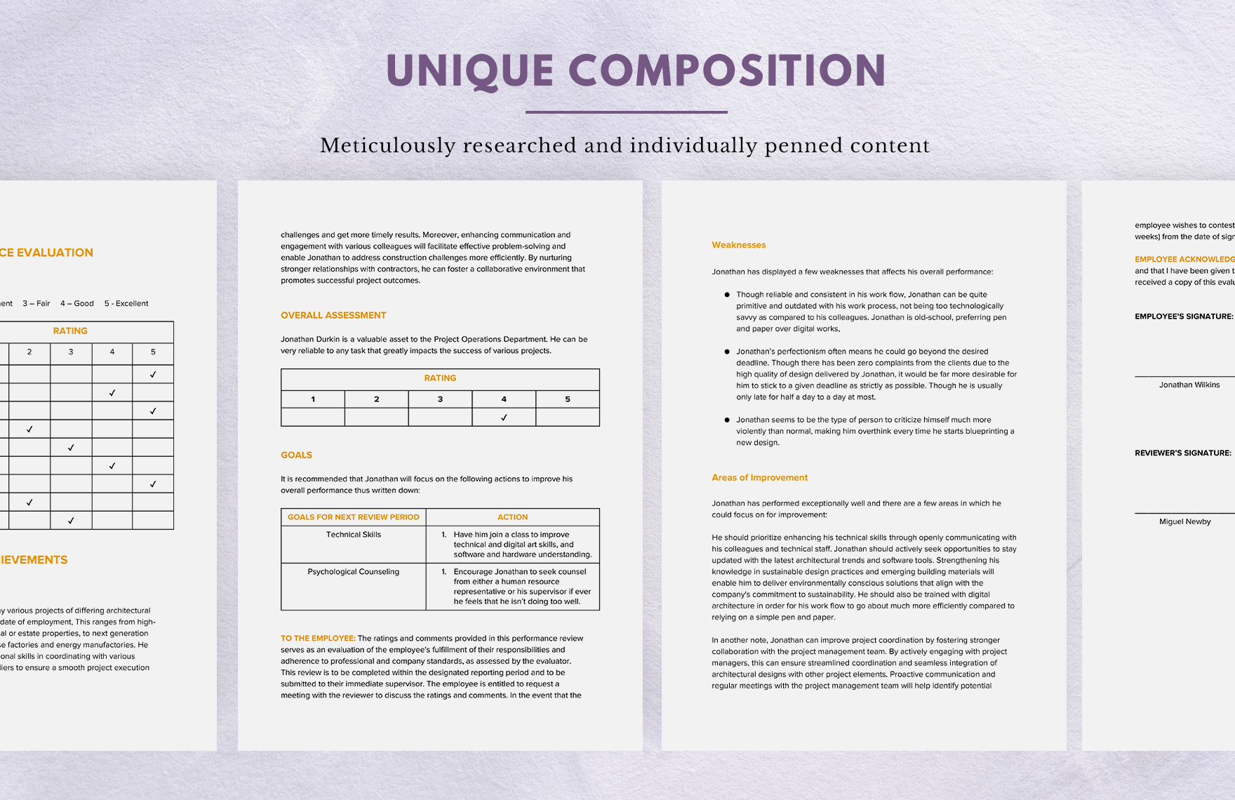 Introductory Period Performance Review Template