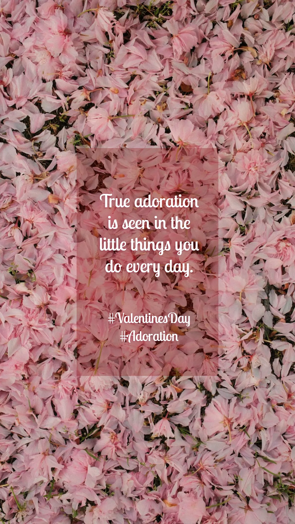 Valentines Day Adoration Quote Template