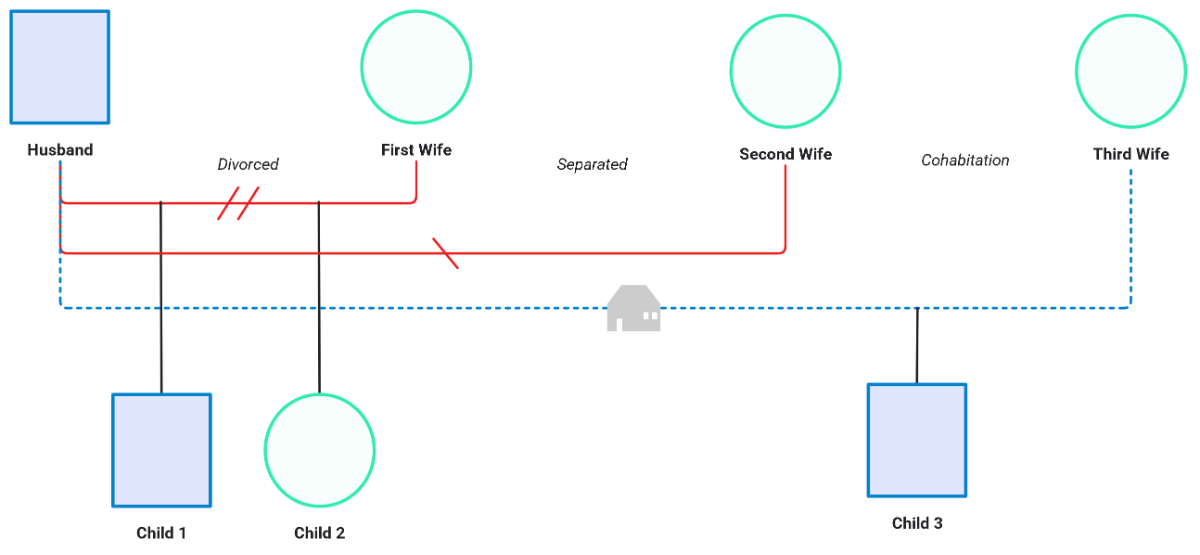 Free Multiple Marriages Genogram to Edit Online