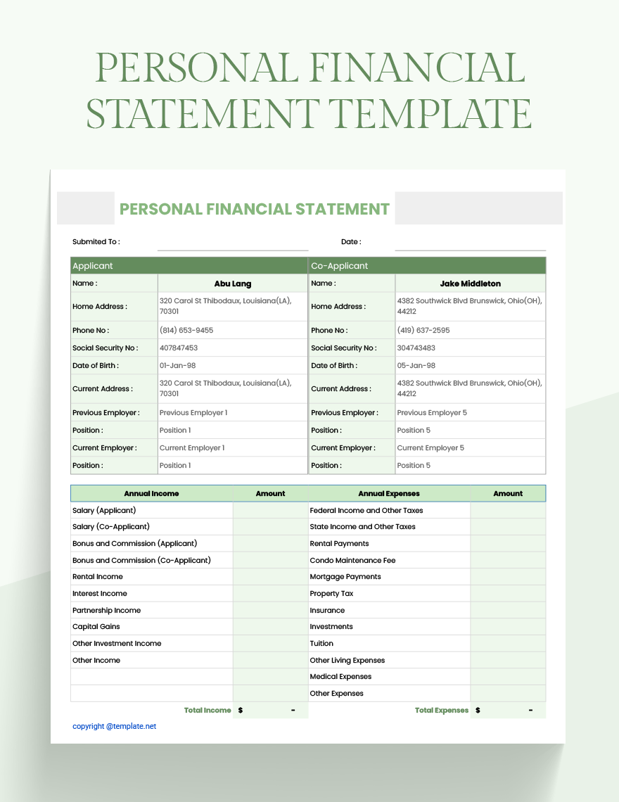 Personal Financial Statement Template Google Docs Google Sheets 