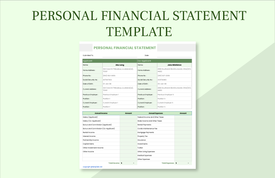 Personal Financial Statement Template In MS Word Pages Numbers 