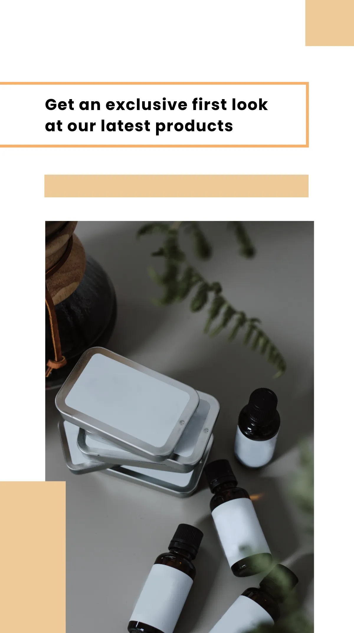 Free Launch Event Facebook Story Template to Edit Online