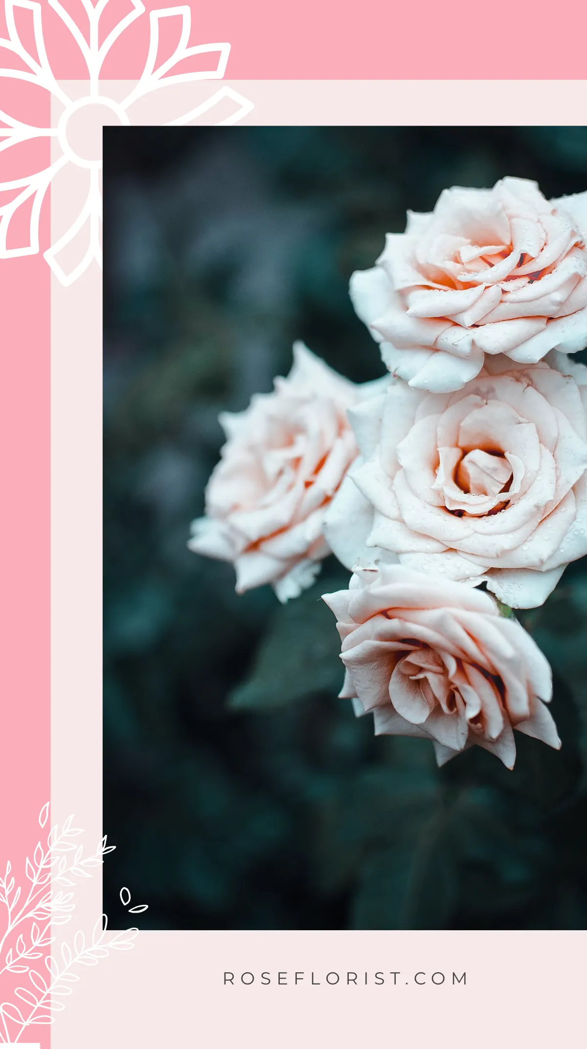 Free Marketing Facebook Story Template to Edit Online