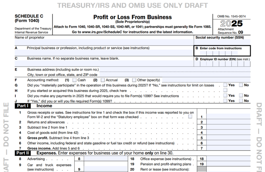 Profit or Loss Statement 2025