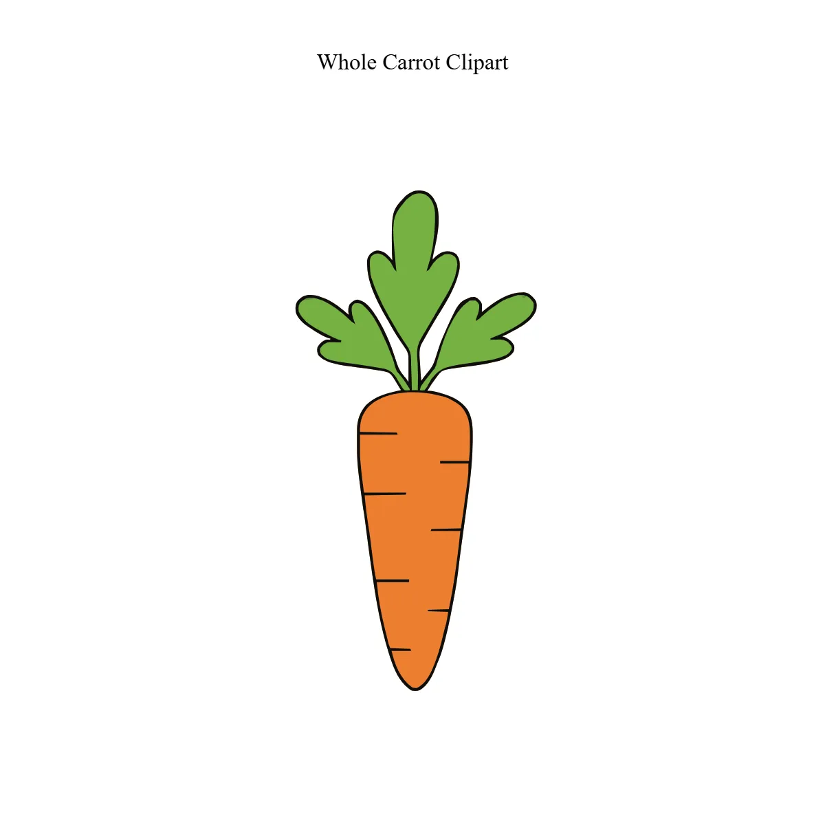 Free Whole Carrot Vector Clipart (PNG, SVG) to Edit Online Free Whole Carrot Vector Clipart (PNG, SVG) to Edit Online