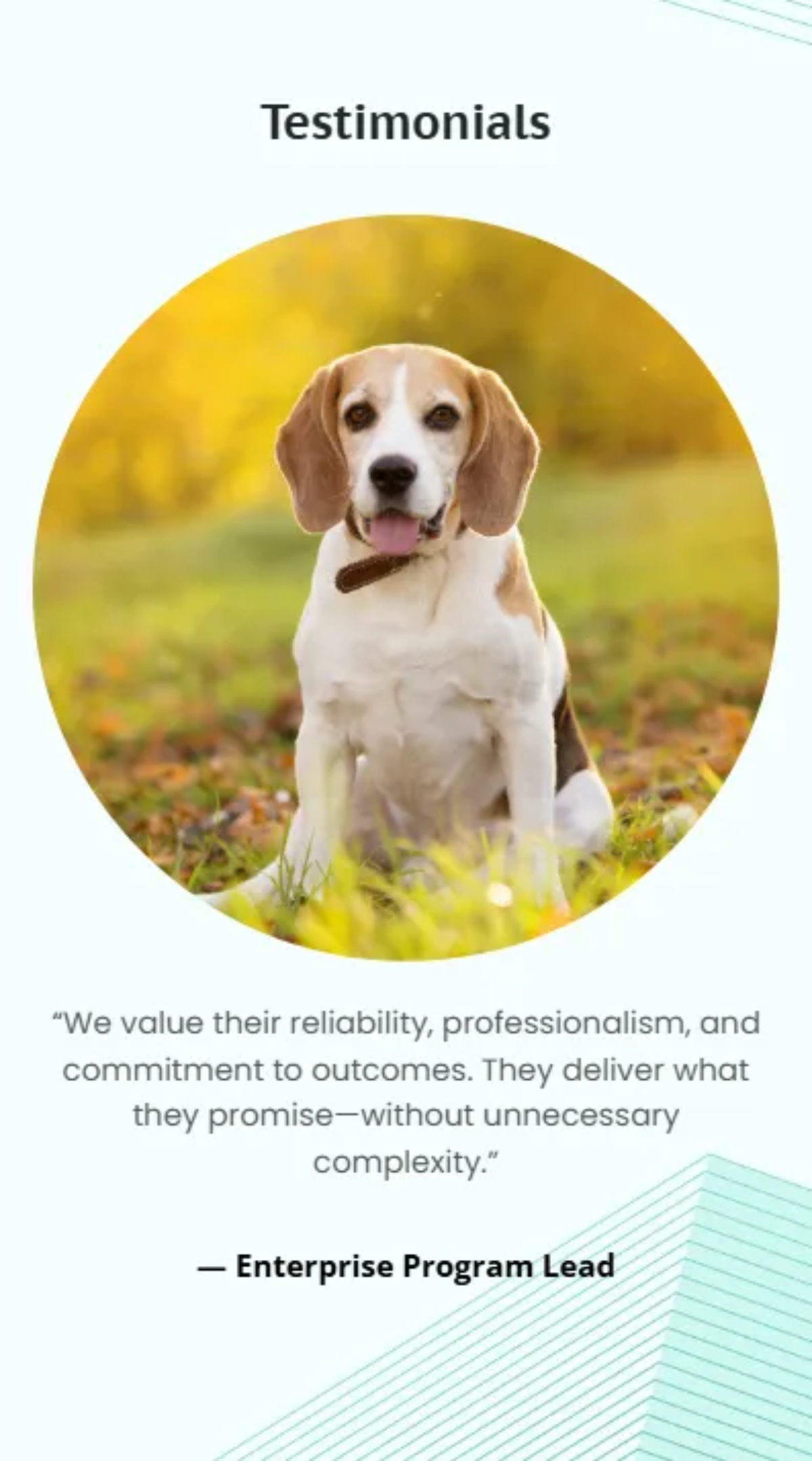 Free Enterprise Brand Introduction Slide Deck Template to Edit Online