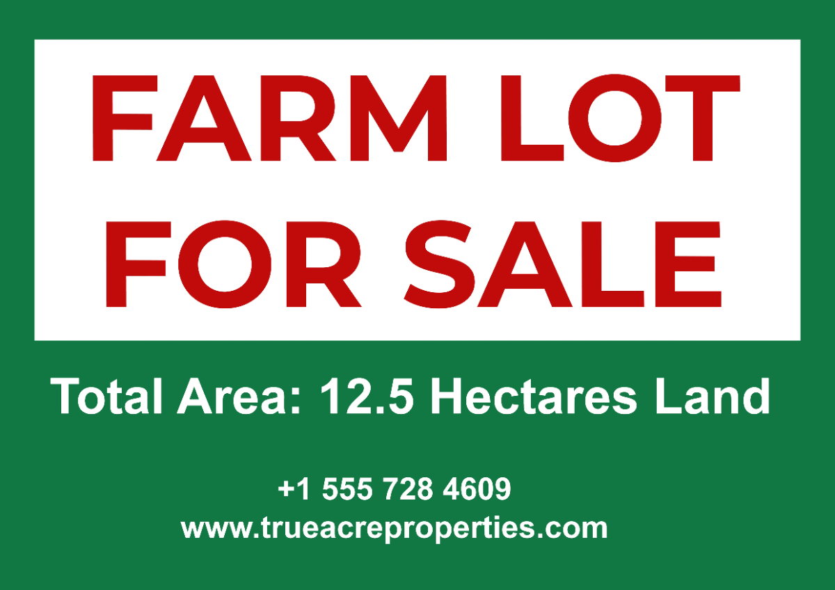 Free Farm Lot For Sale Real Estate Sign Template to Edit Online