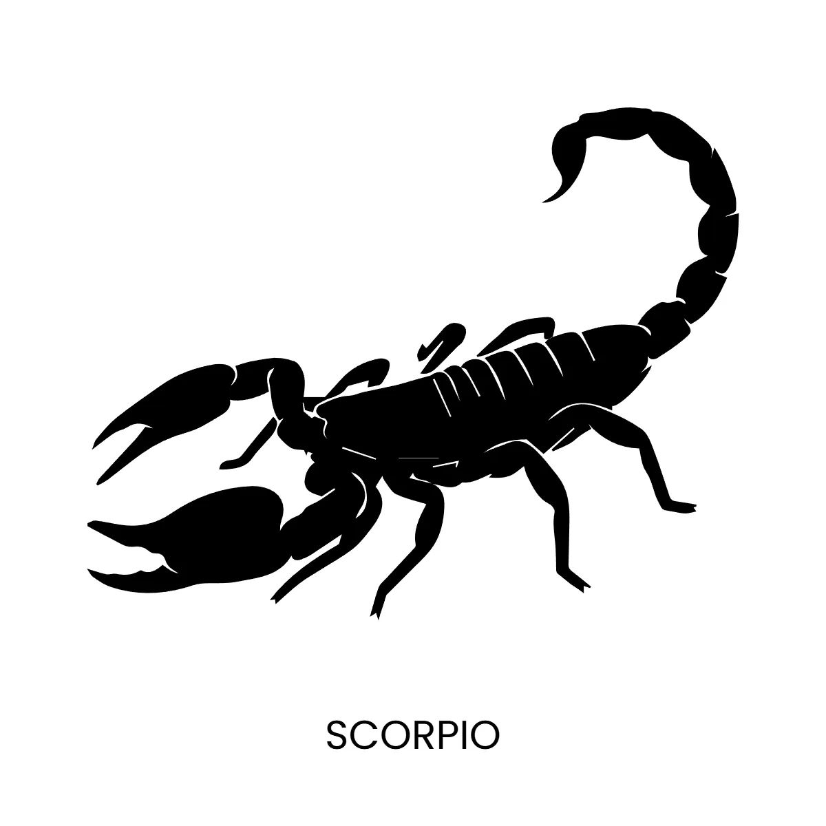 Scorpio Silhouette Zodiac Sign Template
