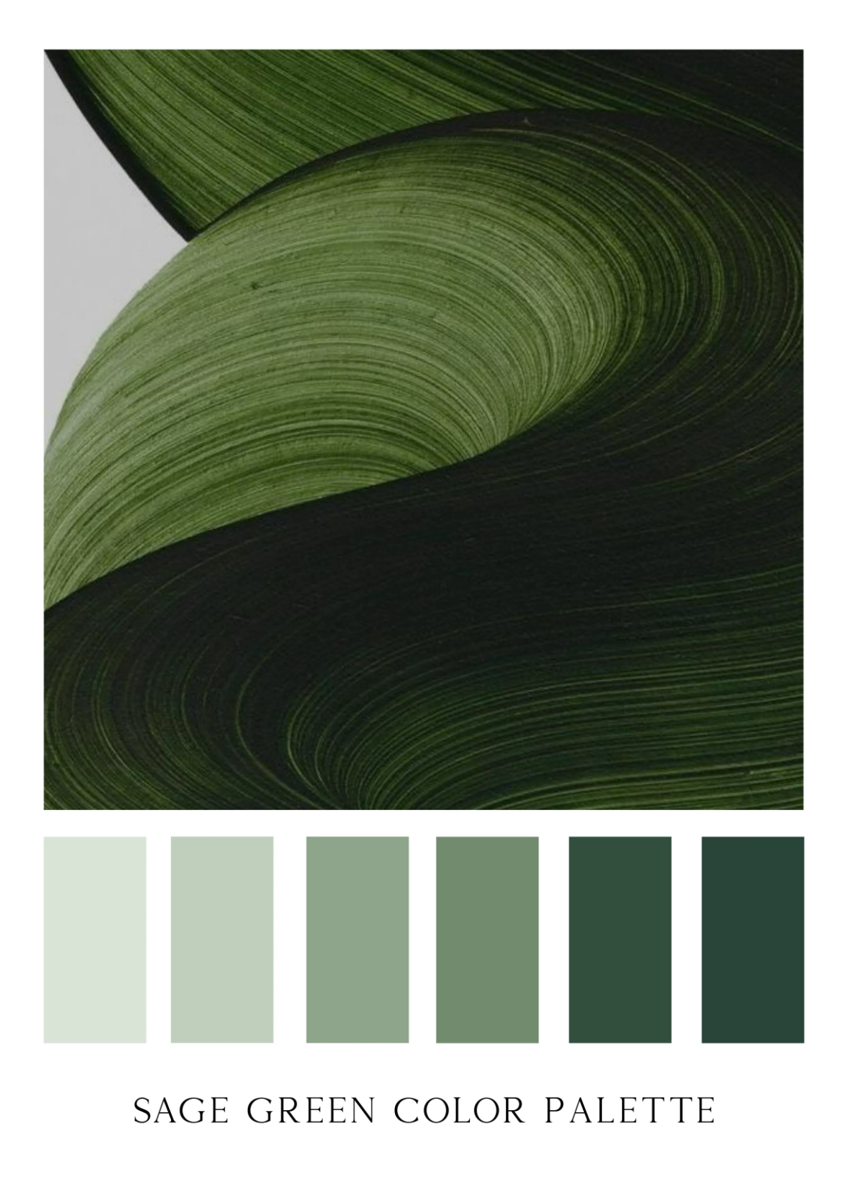 Free Sage Green Color Palette Template to Edit Online
