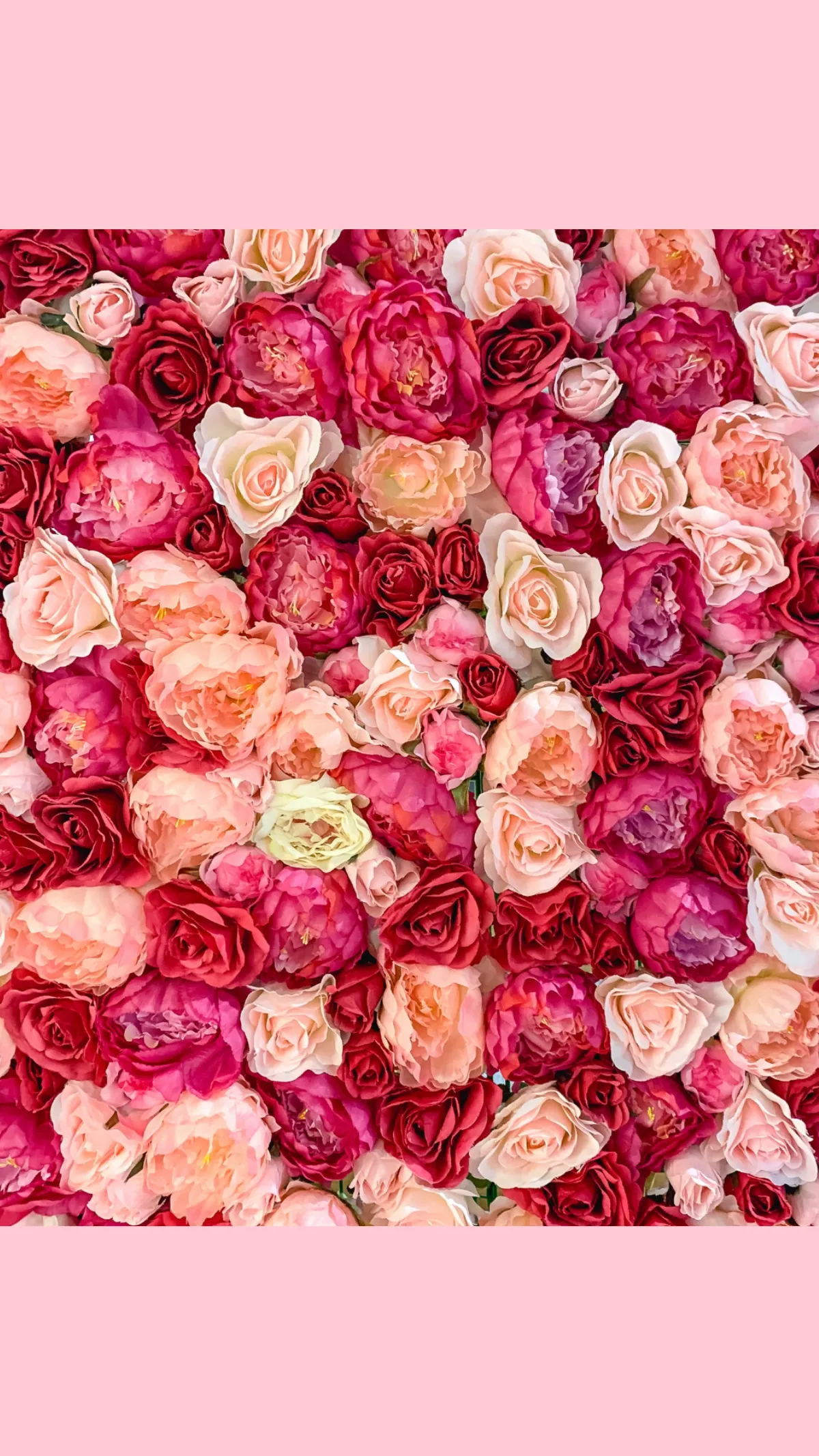 Free Valentines Day Whatsapp Story Template to Edit Online