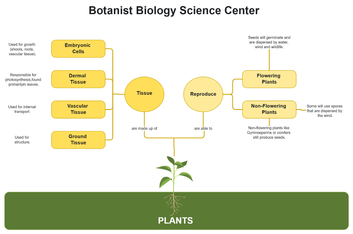 Free Premium Plant Biology Concept Map Template to Edit Online Free Premium Plant Biology Concept Map Template to Edit Online