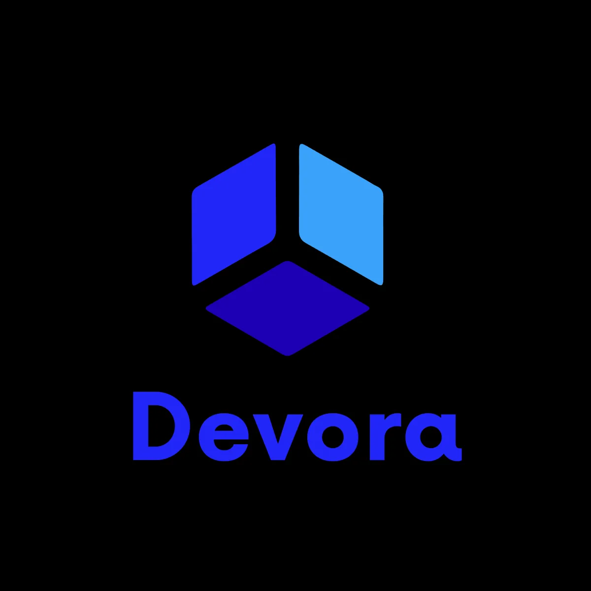 Developer Logo
