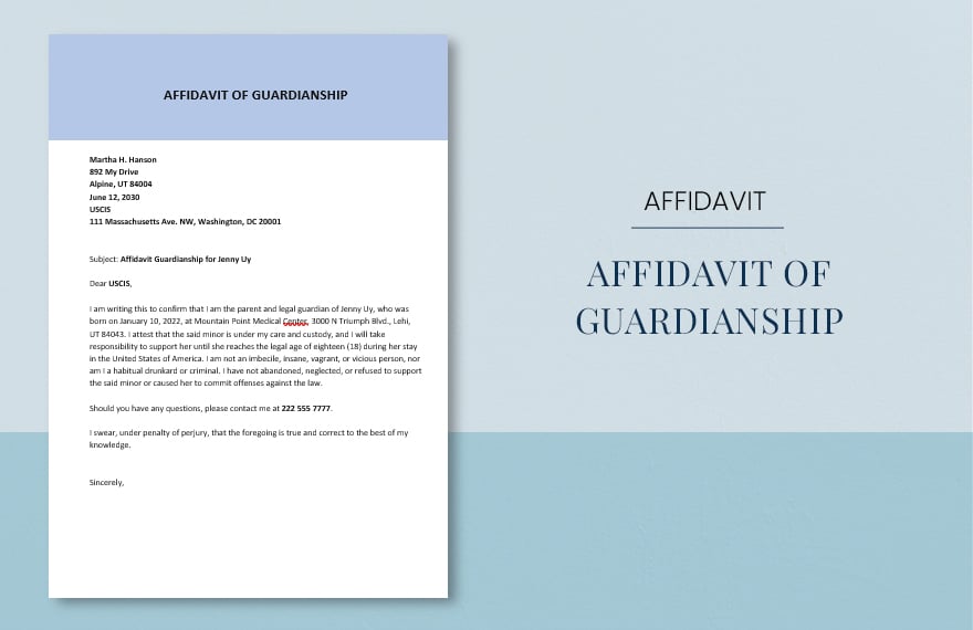 Affidavit of Guardianship Template in Word, Google Docs