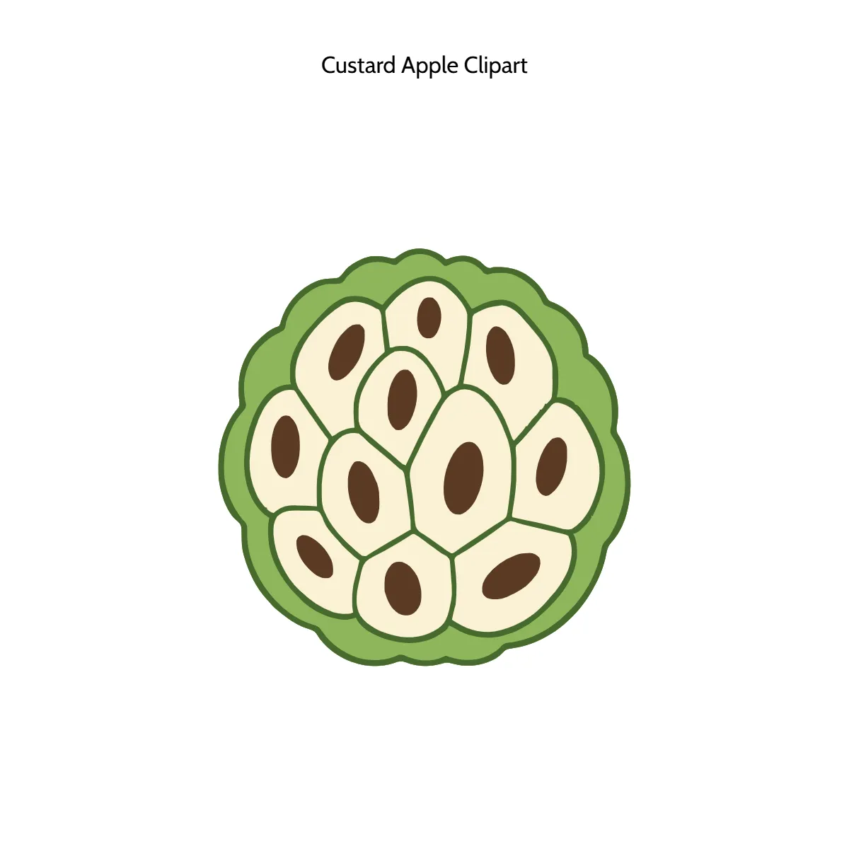 Free Custard Apple Vector Clipart (PNG, SVG) to Edit Online