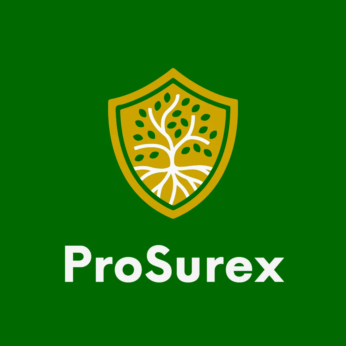 Free Professional Insurance Logo Template to Edit Online