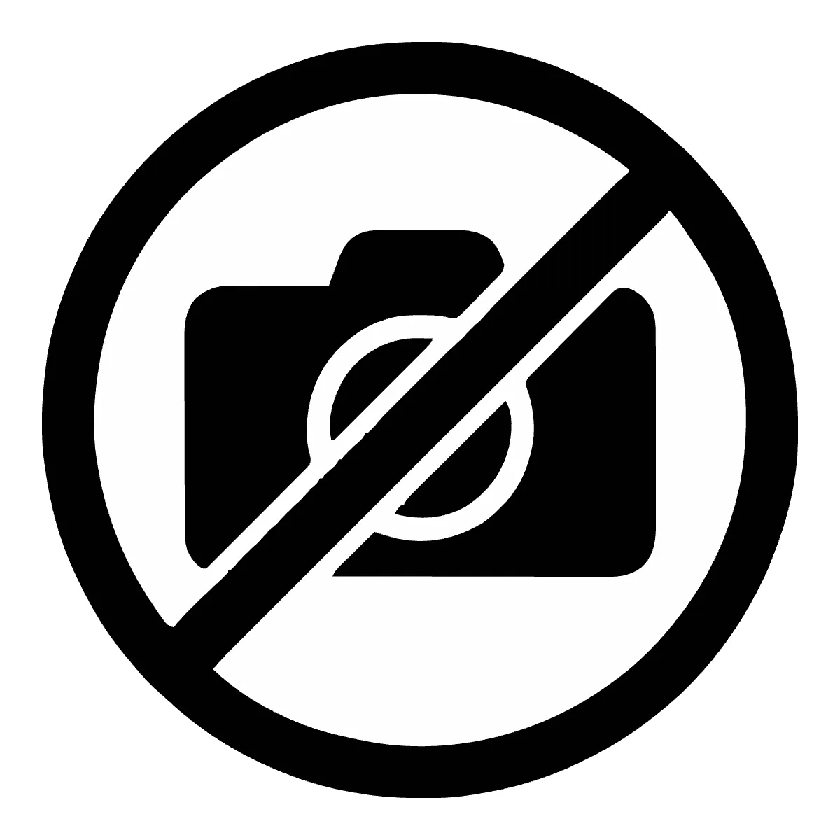 Free Cameras Not Allowed Public Building Sign Template to Edit Online