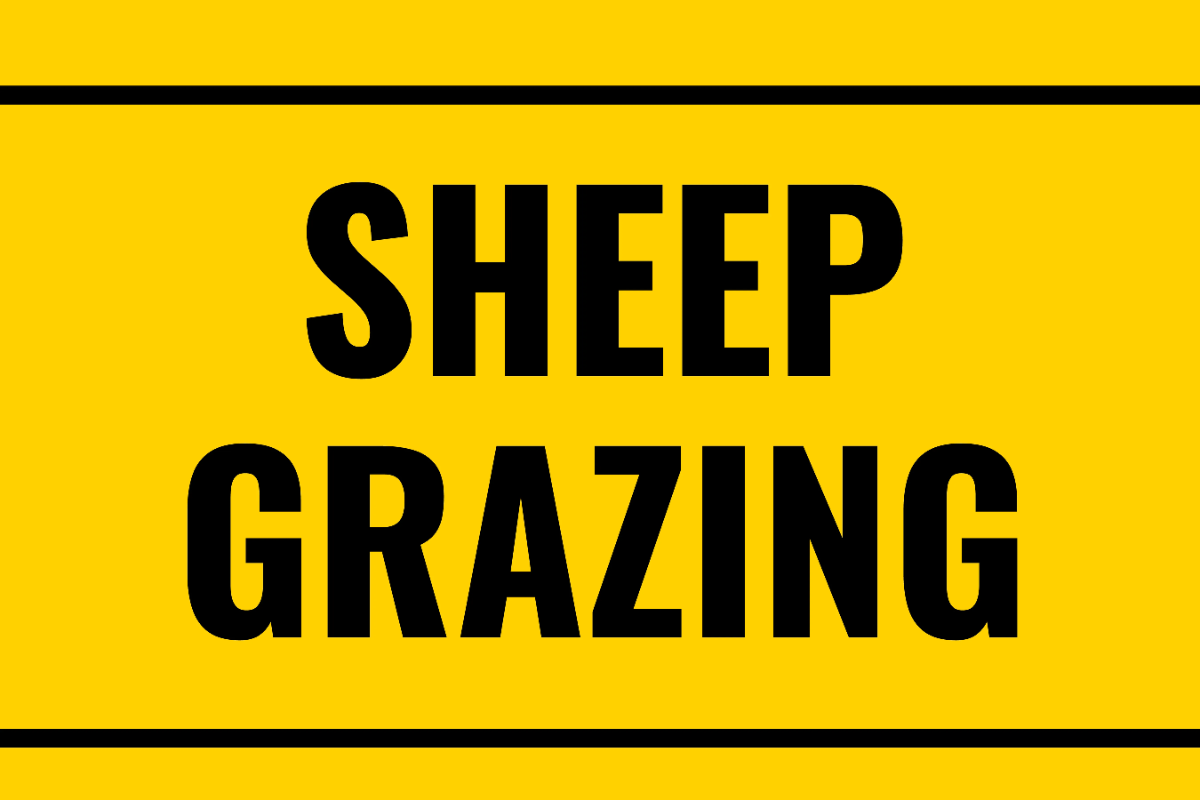 Sheep Grazing Area Agriculture Sign Template