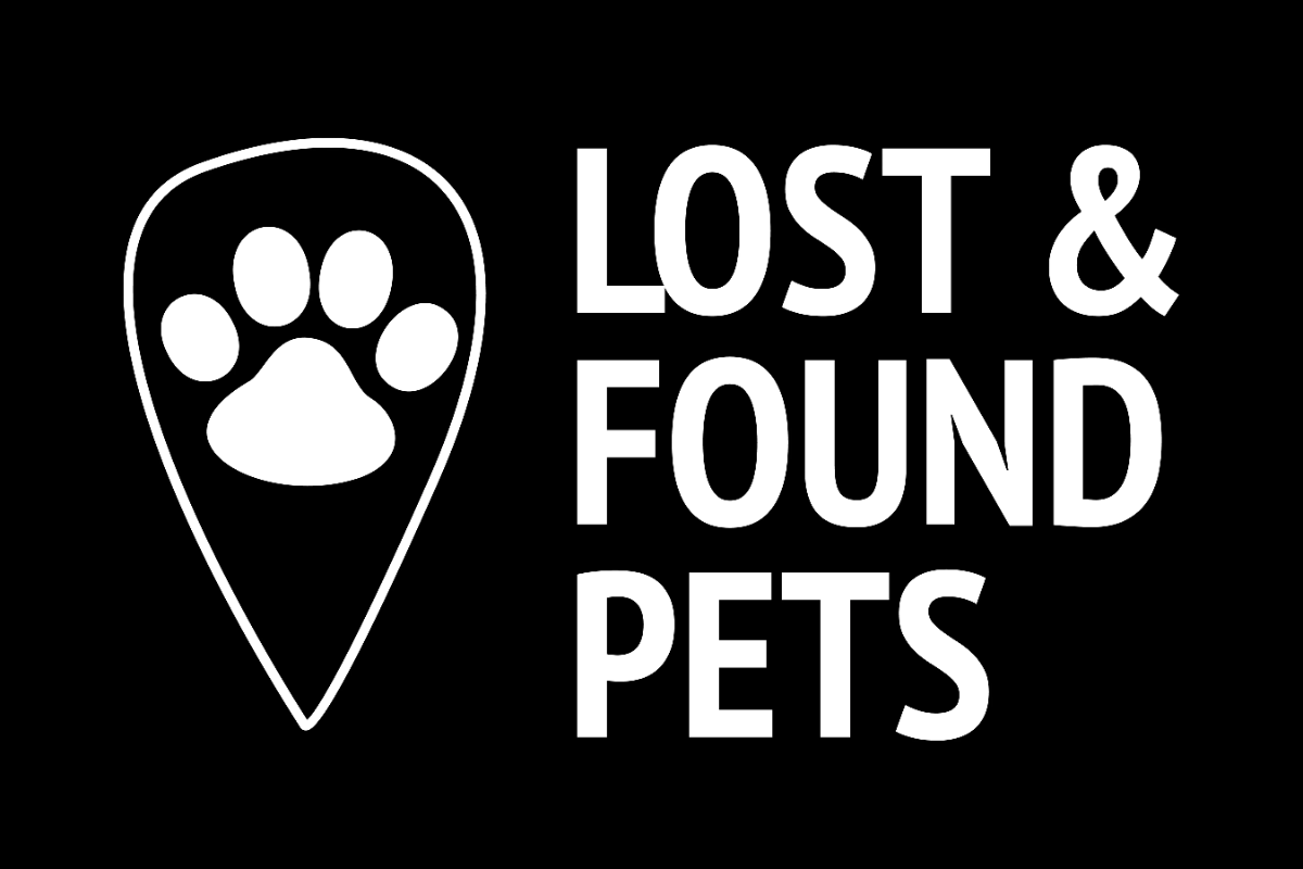 Free Lost and Found Pets Sign Template to Edit Online