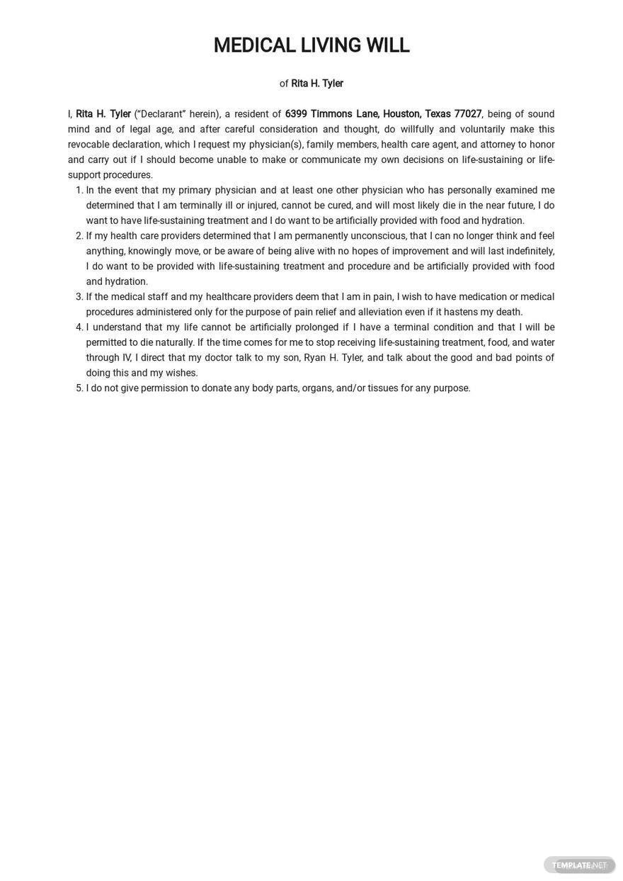 Medical Living Will Template Google Docs, Word