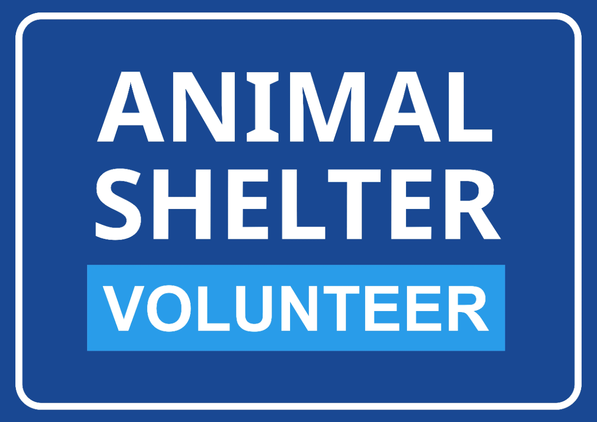 Free Animal Shelter Volunteer Sign Template to Edit Online